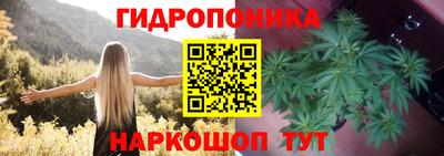 ПСИЛОЦИБИНОВЫЕ ГРИБЫ Гусь-Хрустальный