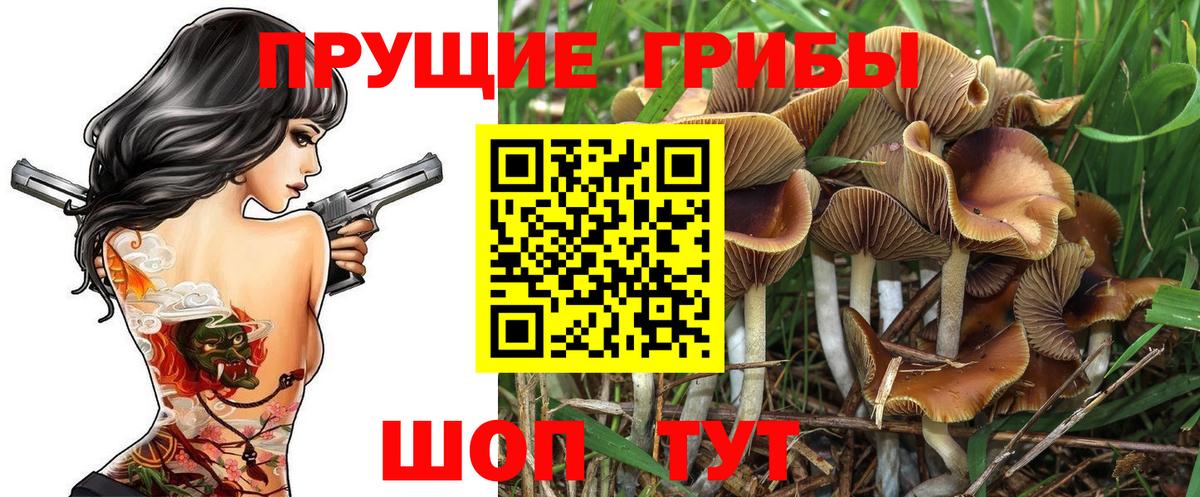 Псилоцибиновые грибы GOLDEN TEACHER  Вход с VPN  Надым 